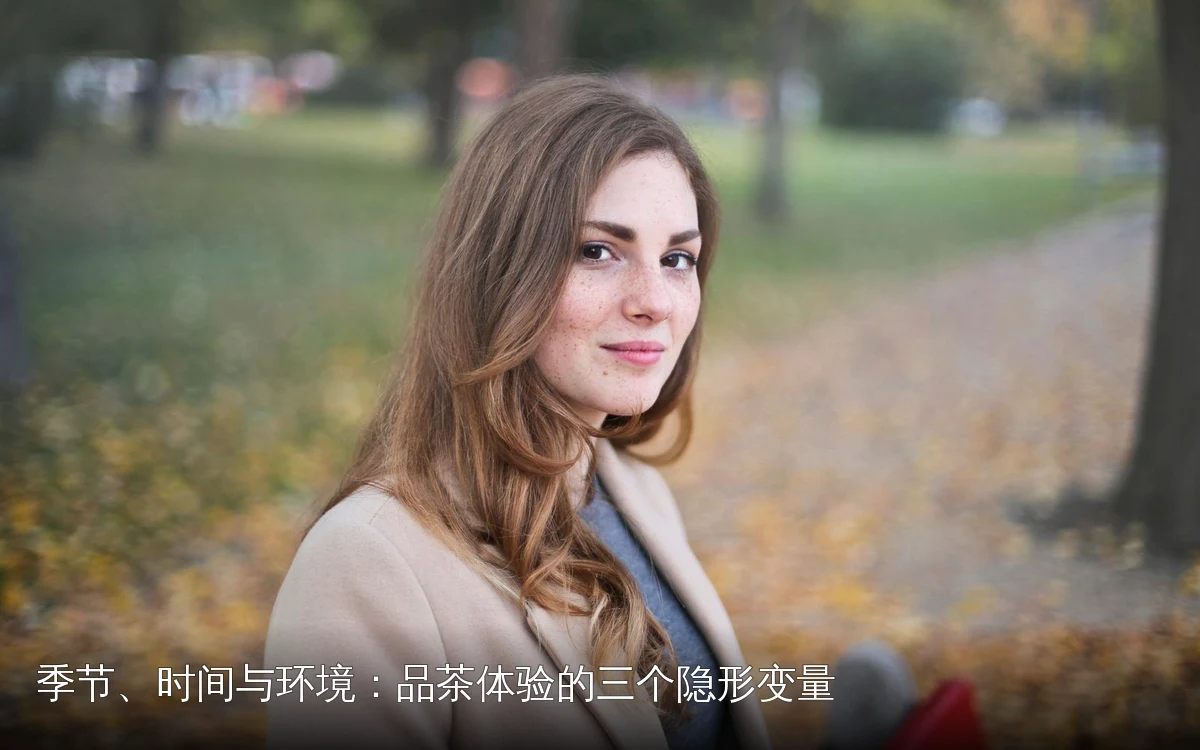 主题场景配图，仅作示意